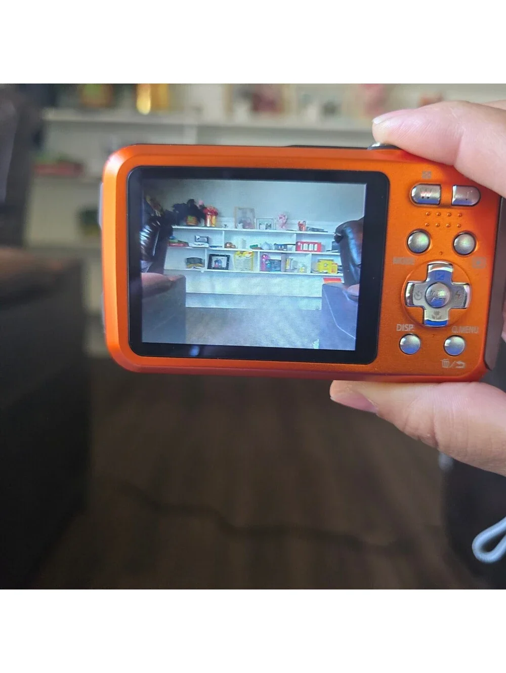 Panasonic Lumix DMC-FH1 12.1MP Digital Camera Orange Charger, Battery & 4GB SD